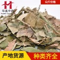 巴葉1000克【華美中藥】中藥材批發(fā)現(xiàn)貨穩(wěn)定供應【枇杷葉】新貨