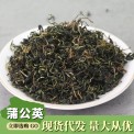 聚花堂 蒲公英茶新貨散裝 蒲公英葉茶婆婆丁茶蒲公英根茶大貨批發(fā)