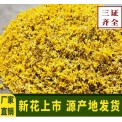 厂家直销桂花干桂花茶泡酒桂花桂林微波桂花传统桂花