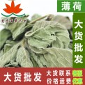 薄荷葉 花草茶 薄荷茶 干薄荷500克 初級農產品