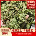 薄荷葉 薄荷切片 薄荷中藥材 批發(fā)各種中藥材