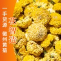 徽州黄菊 统三厂地直发整件批发一手货源大黄菊