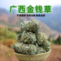 廣西金錢草大葉廣金錢草干新貨化石茶中草藥材批發(fā)量大從優(yōu)