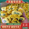 婺源黄菊 批发散装500g新货徽州黄菊花茶产地货源批发皇菊大黄菊