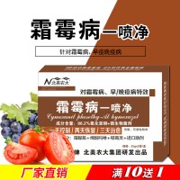 霜霉病一喷净专用杀菌剂 黄瓜菠菜葡萄生菜番茄子霜霉病专用农药