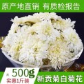 白菊花500克批发黄山贡菊散装七月菊花草茶安徽新花上市厂家直销