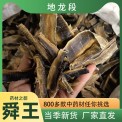 地龍段舜王中藥材地龍產(chǎn)地源頭批發(fā)廣地龍足干全開量大可談價現(xiàn)貨