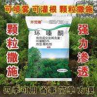 环嗪酮颗粒除草剂正品批发斩草烂根高浓度万能除草剂连根烂