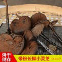 农产品500g椴木紫灵芝 不苦带粉长脚黑灵芝 干货特产10cm长柄灵芝